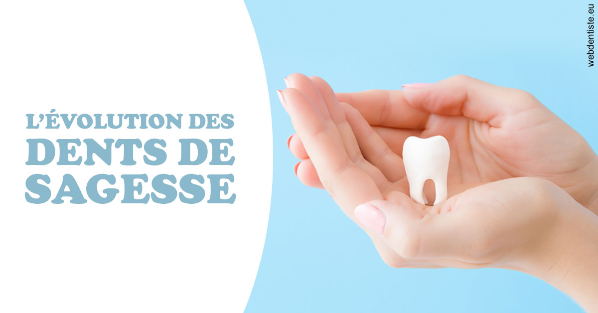 https://dr-fougerais-guillaume.chirurgiens-dentistes.fr/Evolution dents de sagesse 1
