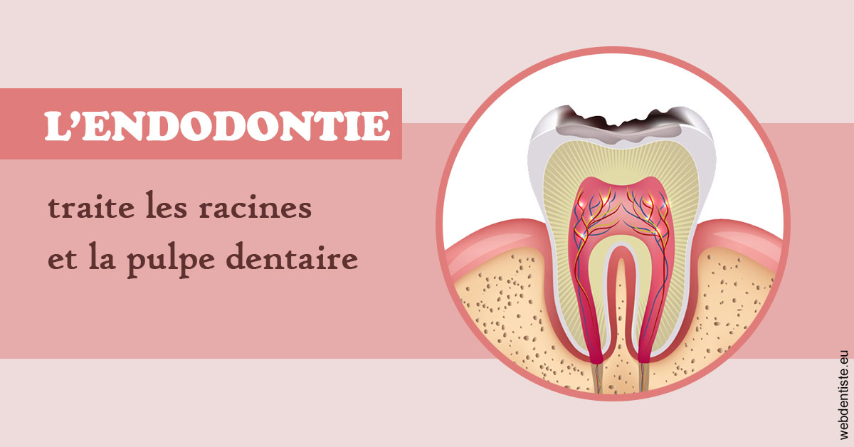 https://dr-fougerais-guillaume.chirurgiens-dentistes.fr/L'endodontie 2