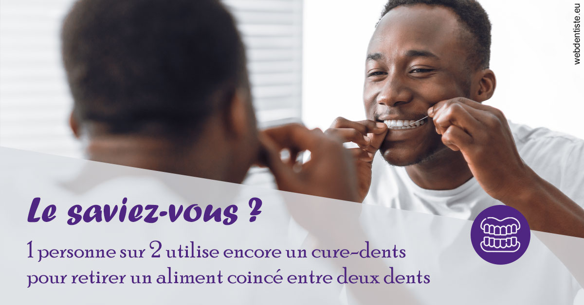https://dr-fougerais-guillaume.chirurgiens-dentistes.fr/Cure-dents 2