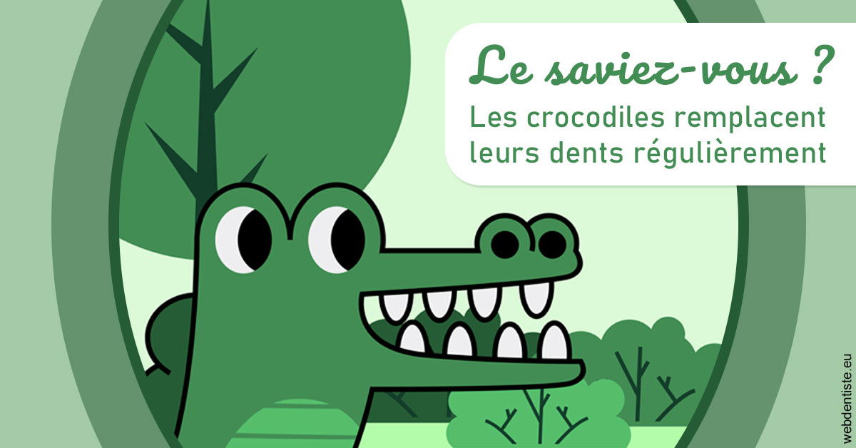 https://dr-fougerais-guillaume.chirurgiens-dentistes.fr/Crocodiles 2