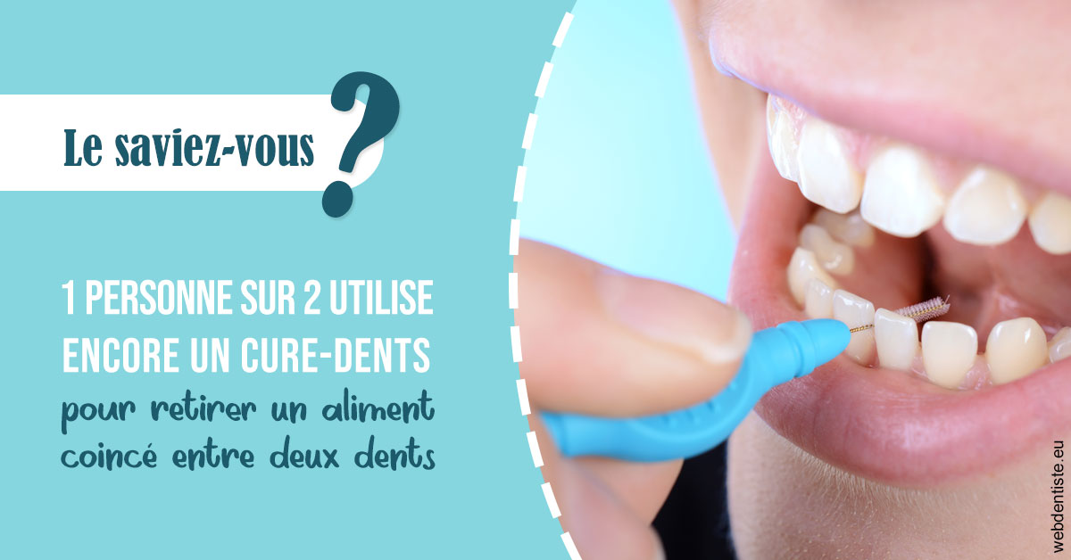 https://dr-fougerais-guillaume.chirurgiens-dentistes.fr/Cure-dents 1