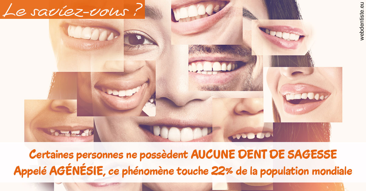 https://dr-fougerais-guillaume.chirurgiens-dentistes.fr/Agénésie 2