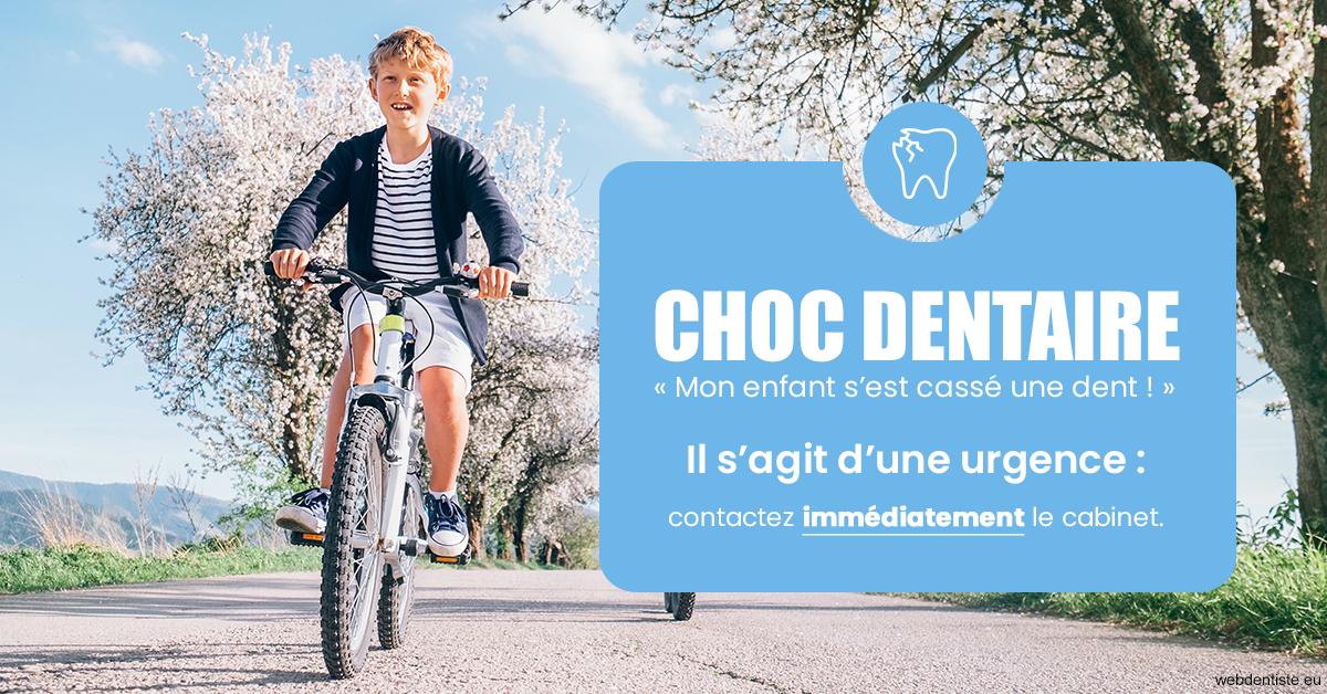 https://dr-fougerais-guillaume.chirurgiens-dentistes.fr/T2 2023 - Choc dentaire 1